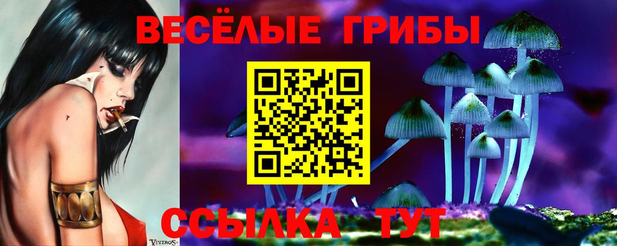 Псилоцибиновые грибы Cubensis  Галлюциногенные грибы мухоморы  Междуреченск  где продают   Вход с VPN 